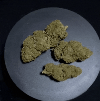 OG_KUSH_VID.gif