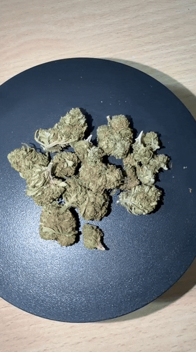 WhatsApp Video 2026-04-08 at 00.33.49.gif