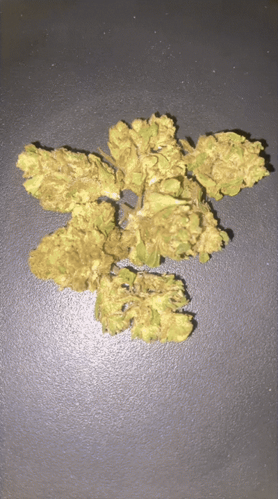 WhatsApp Video 2026-02-10 at 19.54.03.gif